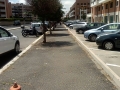tornatora  (10)