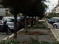 tornatora  (5)