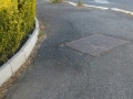 tornatora  (9)