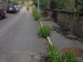 IMG-20160917-WA0083