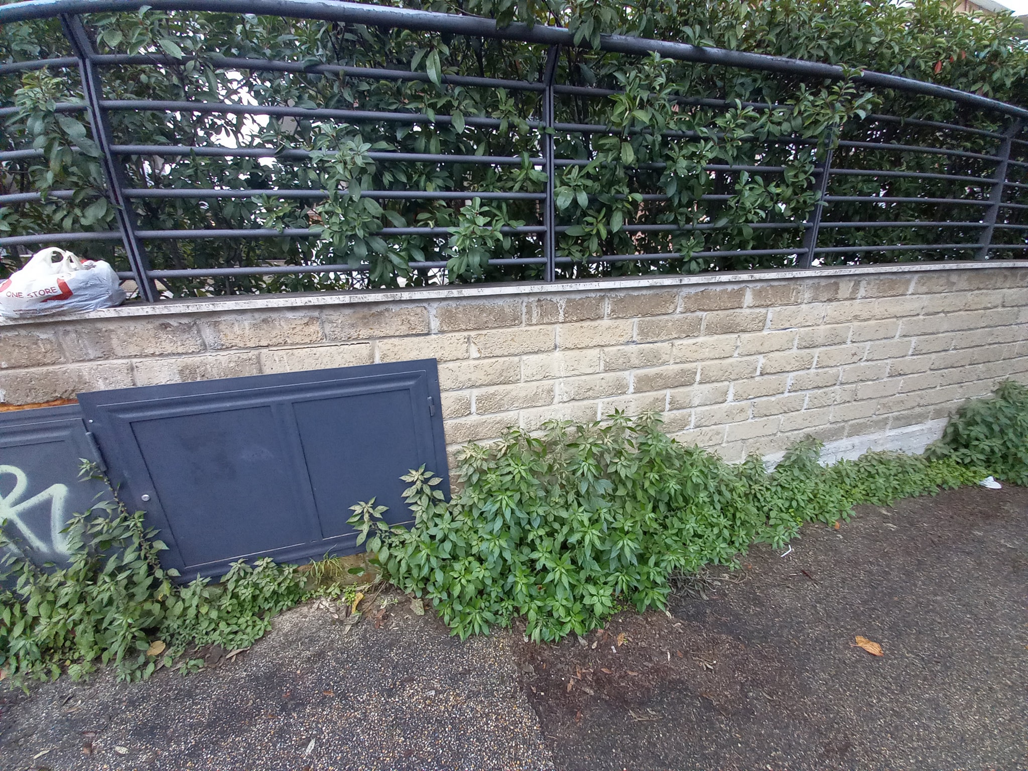 rimozione_tag_viale_guglielmi_3