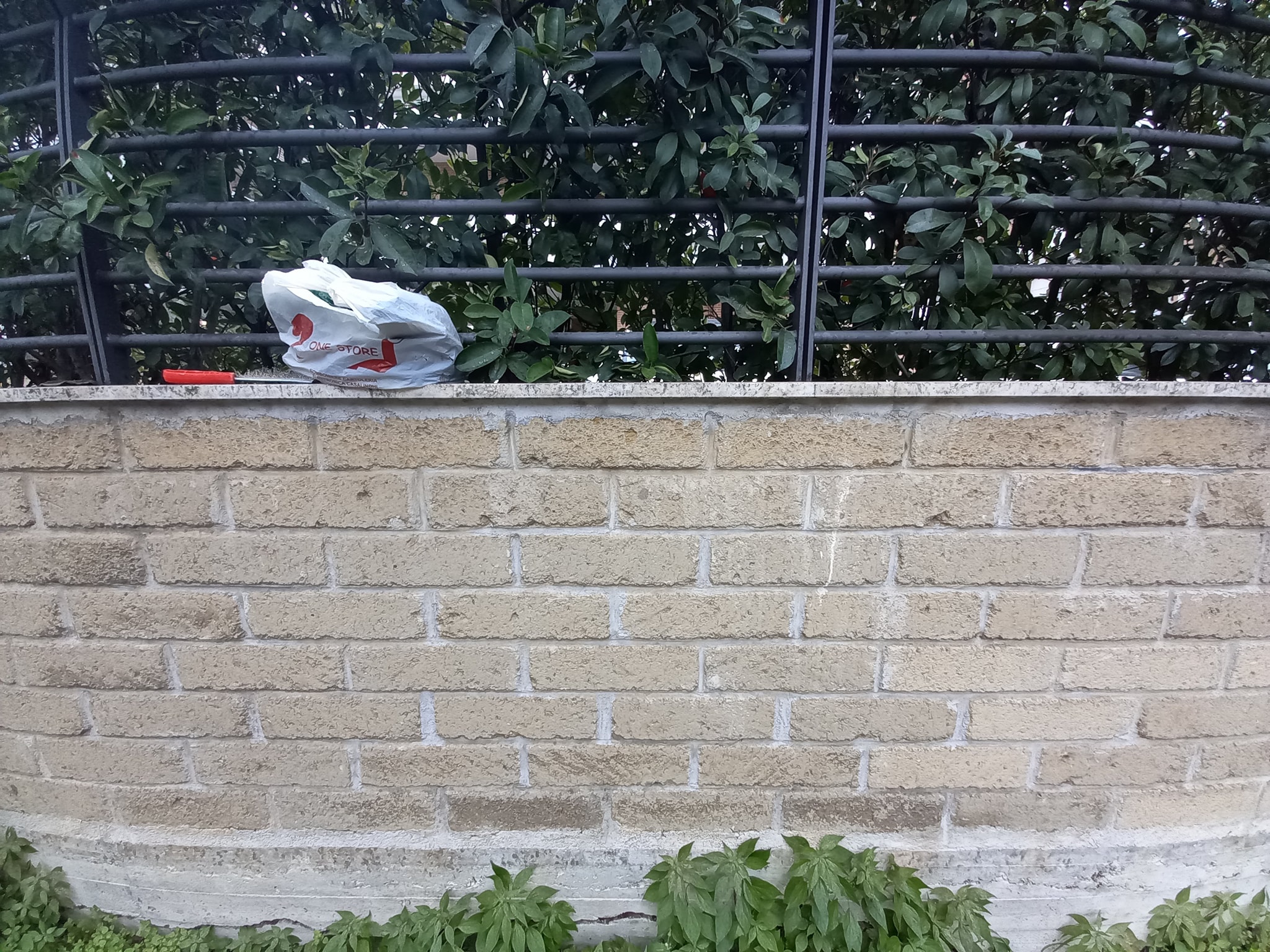 rimozione_tag_viale_guglielmi_7
