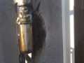 cancelli6