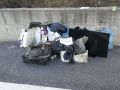 IMG-20200723-WA0034